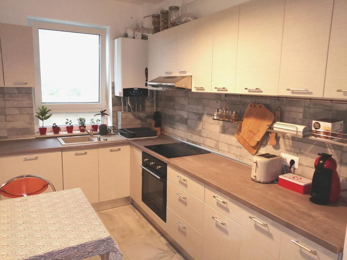 Maurer Loft Leilighet Târgu-Mureş Eksteriør bilde