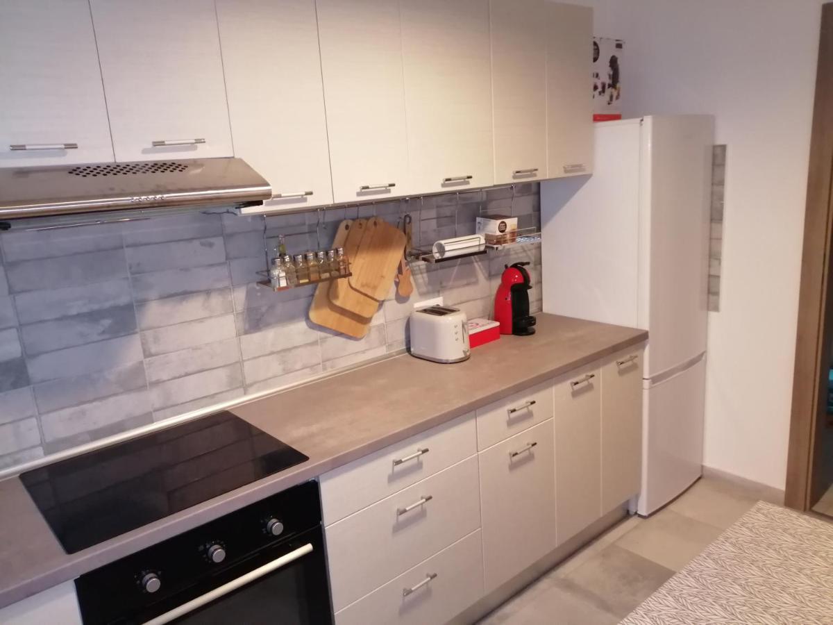 Maurer Loft Leilighet Târgu-Mureş Eksteriør bilde